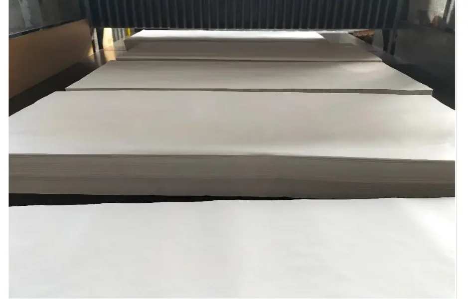 SERVIZIO DI TAGLIO CARTA A FORMATO PER CONTO TERZI - immagine 2