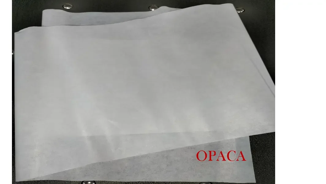 CARTA VELINA BIANCA OPACA / TRASPARENTE - immagine 3