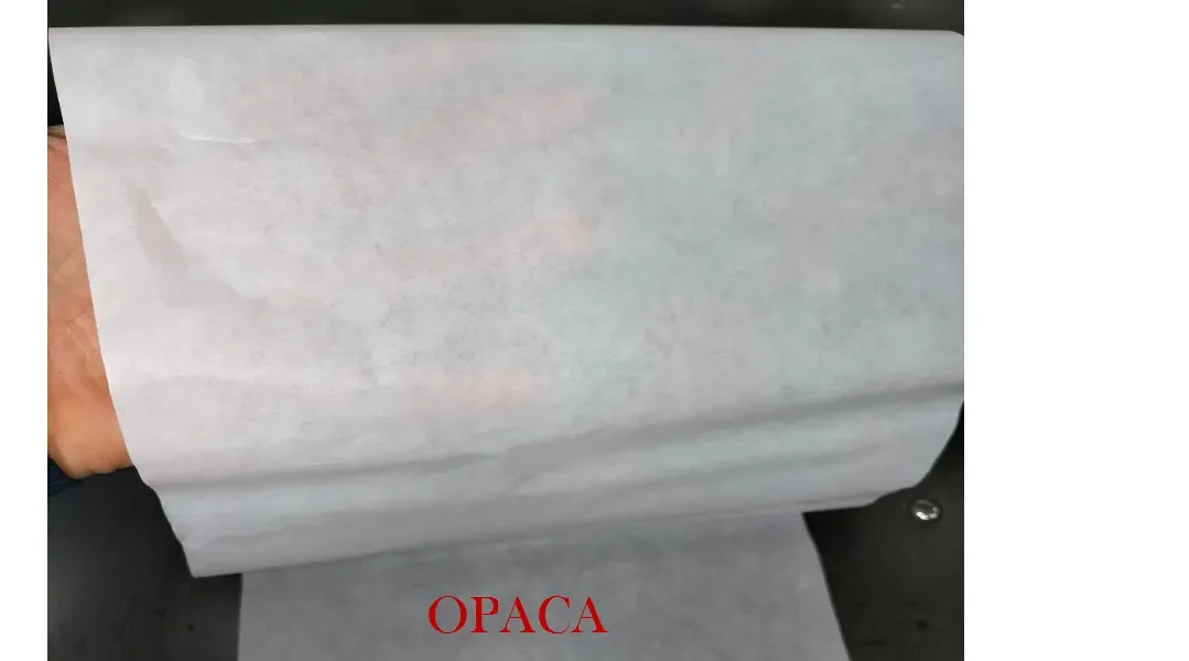 CARTA VELINA BIANCA OPACA / TRASPARENTE - immagine 5